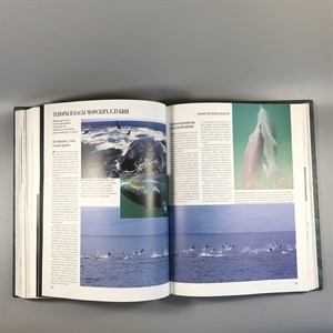 Секреты природы. Ридерз Дайджест, 1999-й г. 001386 - фото 10692