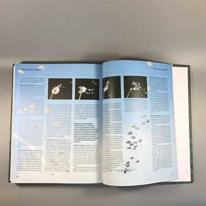 Секреты природы. Ридерз Дайджест, 1999-й г. 001386 - фото 10694