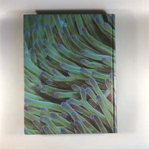 Секреты природы. Ридерз Дайджест, 1999-й г. 001386 - фото 10696