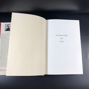 Pierre Cabanne. Dictionnaire international Des Arts/Пьер Кабанн. Международный словарь искусств в двух томах. Париж, Bordas, 1979 г. 000220 - фото 213