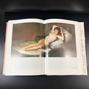 Pierre Cabanne. Dictionnaire international Des Arts/Пьер Кабанн. Международный словарь искусств в двух томах. Париж, Bordas, 1979 г. 000220 - фото 217