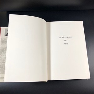 Pierre Cabanne. Dictionnaire international Des Arts/Пьер Кабанн. Международный словарь искусств в двух томах. Париж, Bordas, 1979 г. 000220 - фото 223