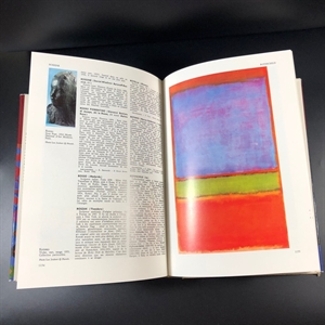 Pierre Cabanne. Dictionnaire international Des Arts/Пьер Кабанн. Международный словарь искусств в двух томах. Париж, Bordas, 1979 г. 000220 - фото 227