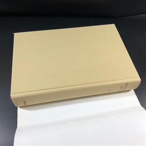 Pierre Cabanne. Dictionnaire international Des Arts/Пьер Кабанн. Международный словарь искусств в двух томах. Париж, Bordas, 1979 г. 000220 - фото 229