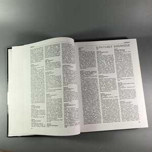 Кто есть кто в России и в бывшем СССР. Выдающиеся личности бывшего Советского Союза, России и эмиграции. Джин Вронская, Владимир Чугуев. Москва, Терра, 1994 г. 002052 - фото 24242