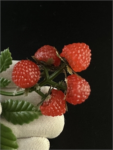 Пластиковая  брошь «Малинка», СССР, 1970-е гг. 002070