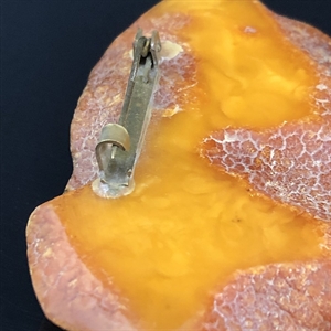 Крупная брошь из цельного природного янтаря, СССР, 1970-1980-е гг. 001687 - фото 6984